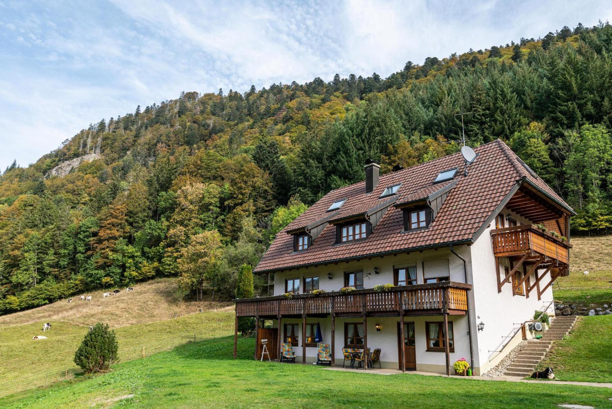 Gasthaus Zur Linde- Napf Oberried  Ngoại thất bức ảnh