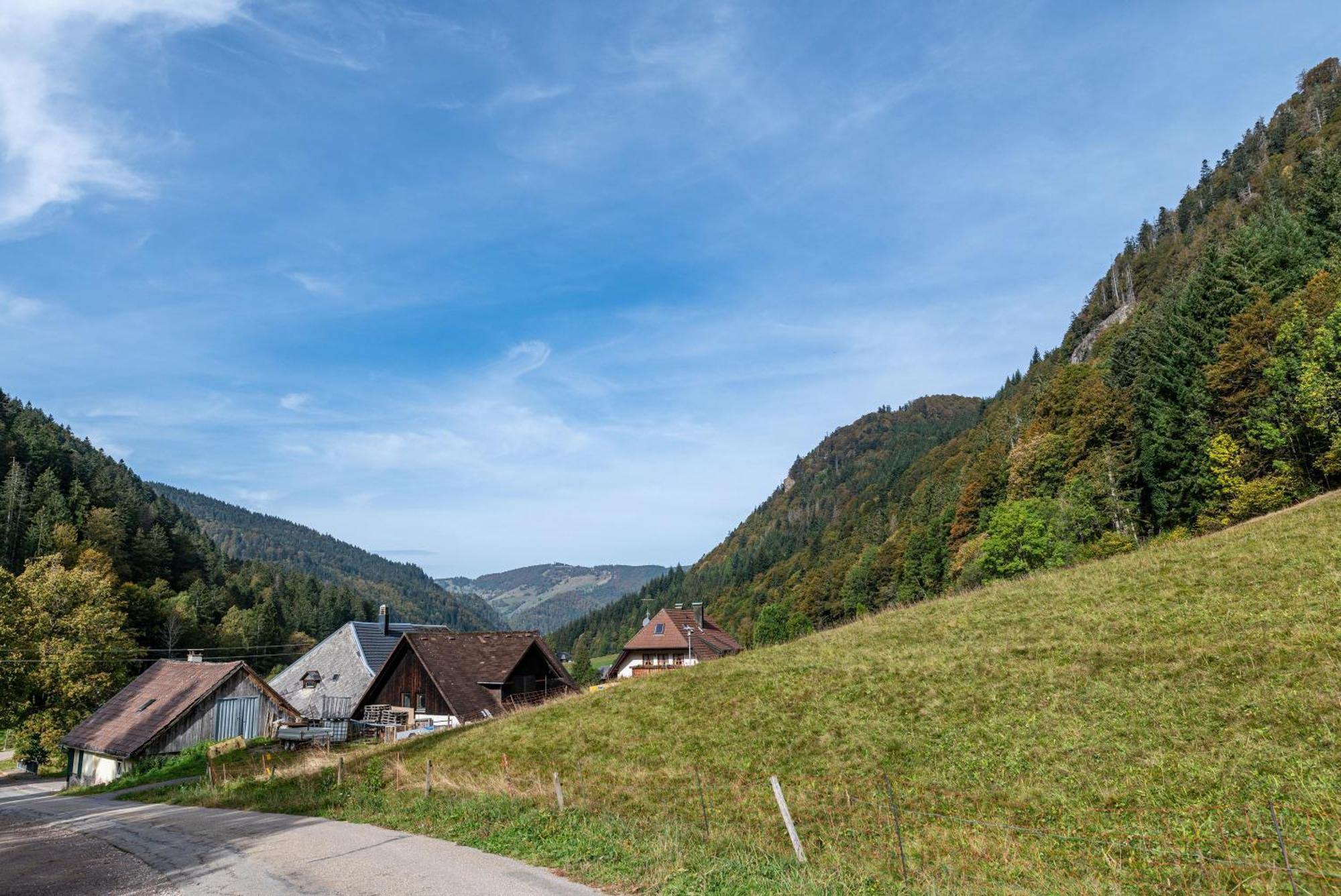 Gasthaus Zur Linde- Napf Oberried  Ngoại thất bức ảnh
